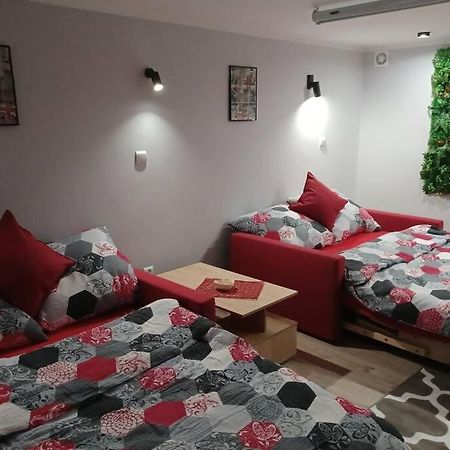 Studio Familly-Nocleg-Zator- Wadowice-Oswiecim-Krakow Bachowice المظهر الخارجي الصورة