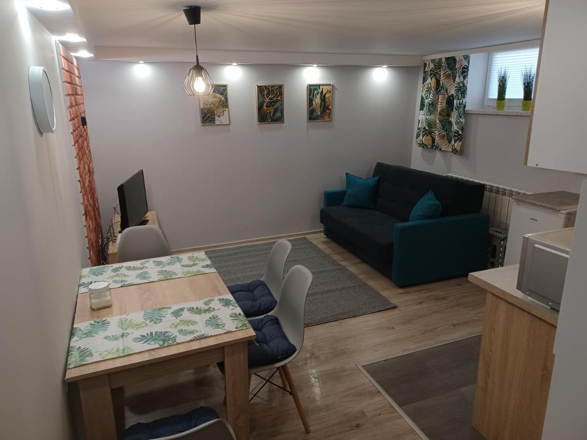 Studio Familly-Nocleg-Zator- Wadowice-Oswiecim-Krakow Bachowice المظهر الخارجي الصورة